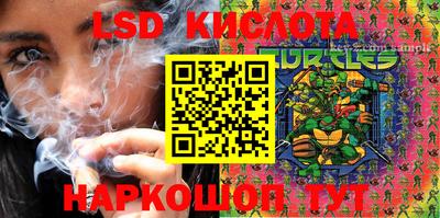 прущие грибы Ачхой-Мартан