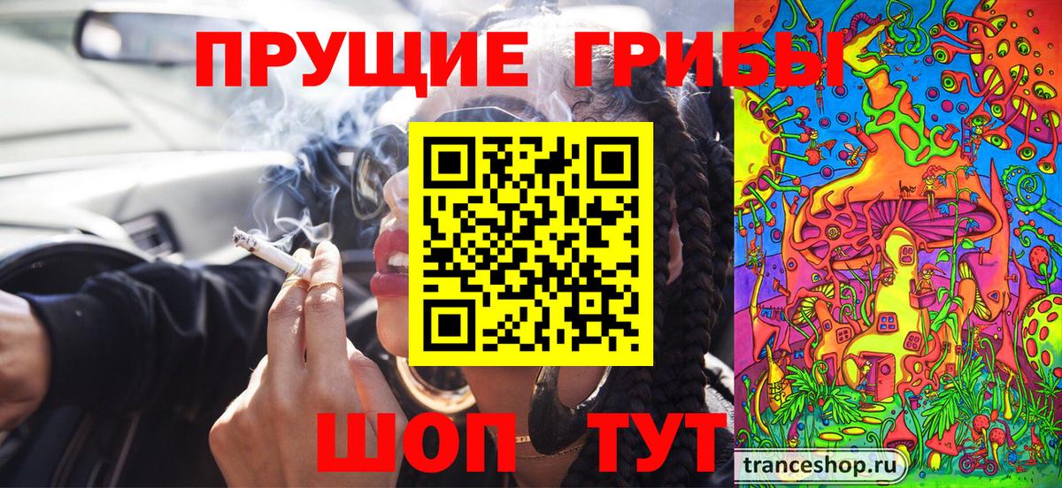 купить   Вход с VPN  Благодарный  Галлюциногенные грибы MAGIC MUSHROOMS 