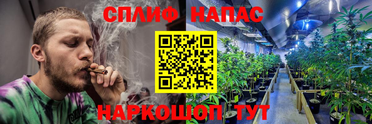 Конопля OG Kush Благодарный